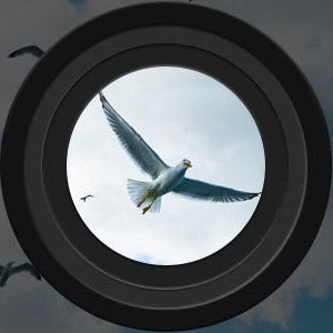 Lisslune | Long Range Night Vision Binoculars