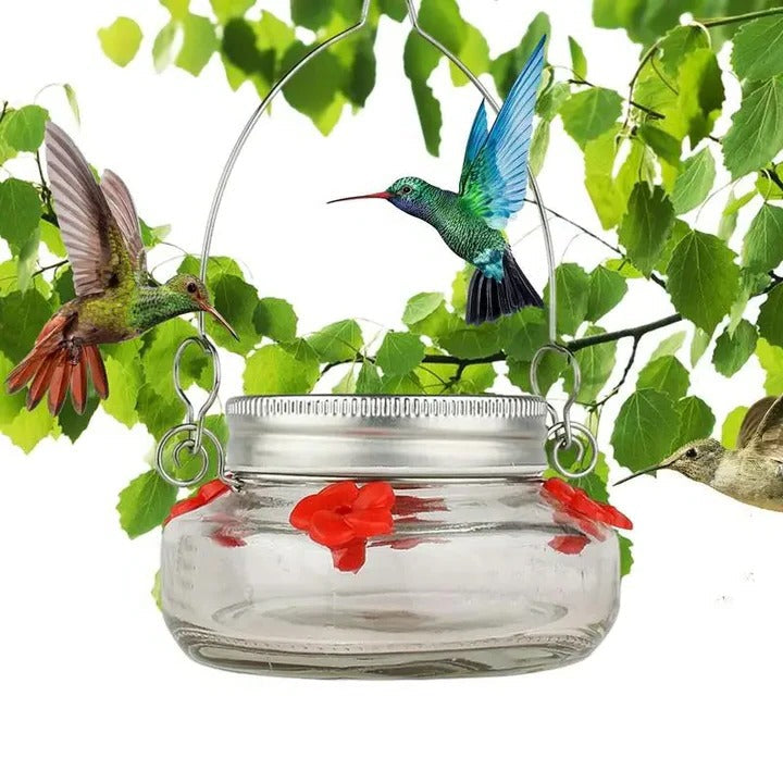Lisslune | Clear Flower Port Hummingbird Feeder