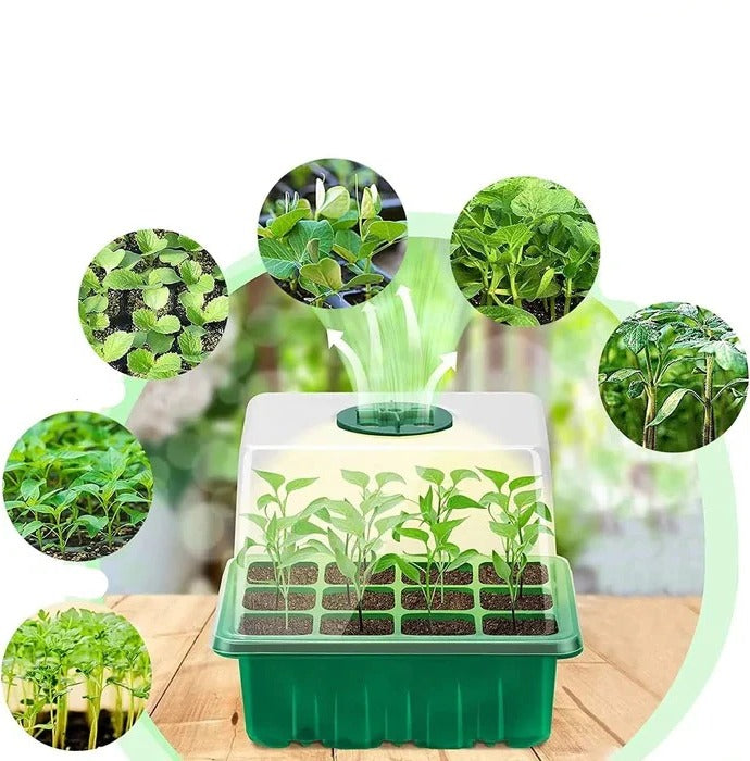 Lisslune | Household New Nursery Pot With Lamp