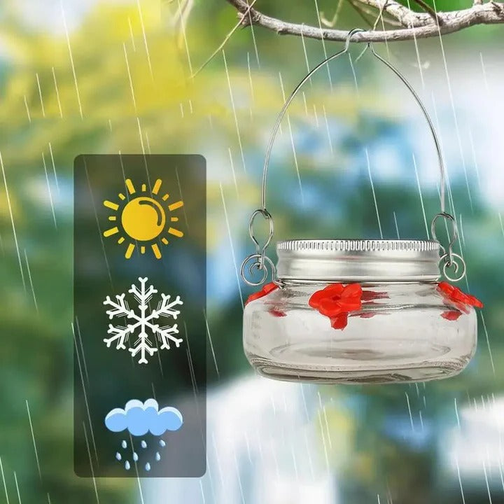 Lisslune | Clear Flower Port Hummingbird Feeder