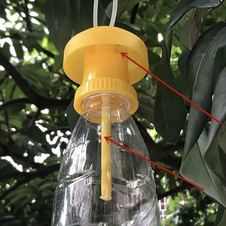 Lisslune | Fruit Fly Trap with Hanging Cover