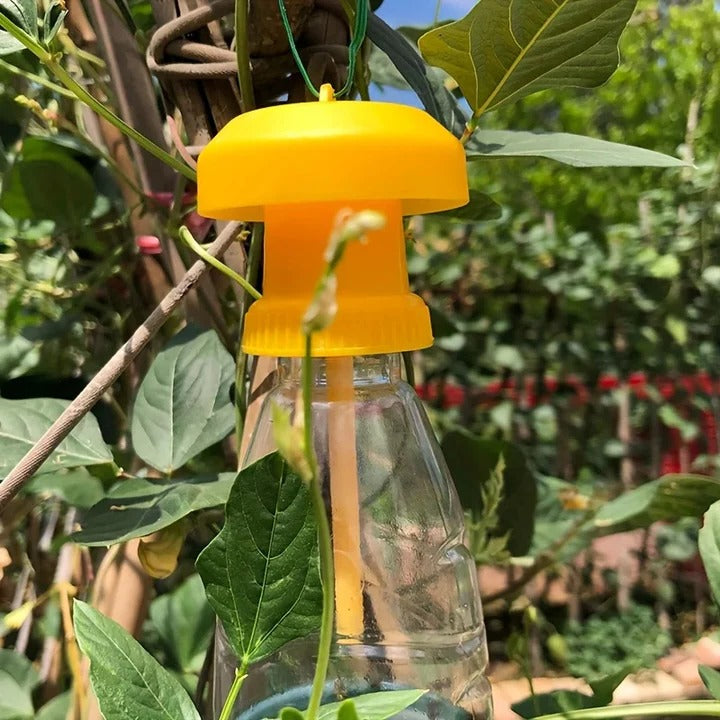 Lisslune | Fruit Fly Trap with Hanging Cover