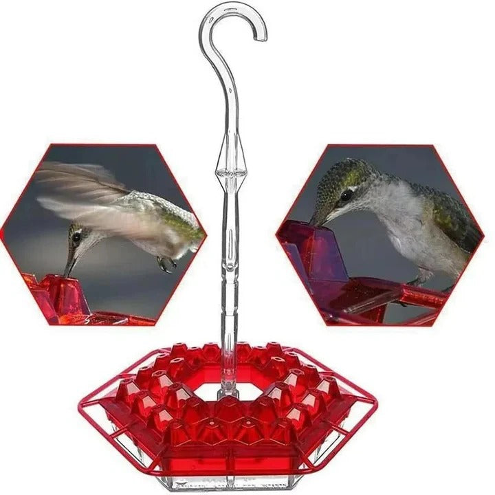 Lisslune | Ant Proof Hummingbird Feeder, Outdoor Hanging Perch