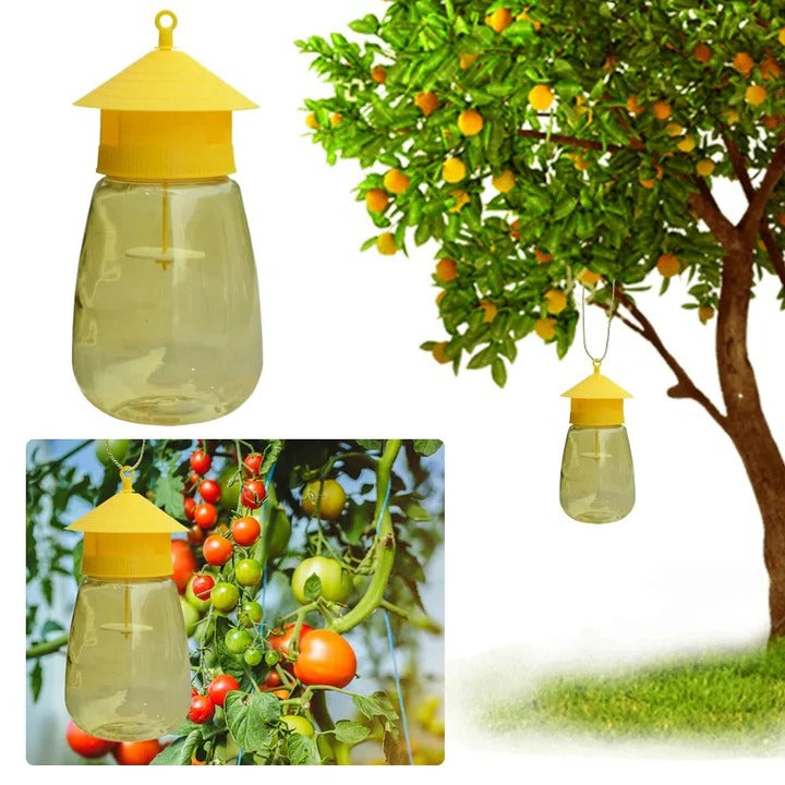 Lisslune | Hanging Fruit Fly Trap