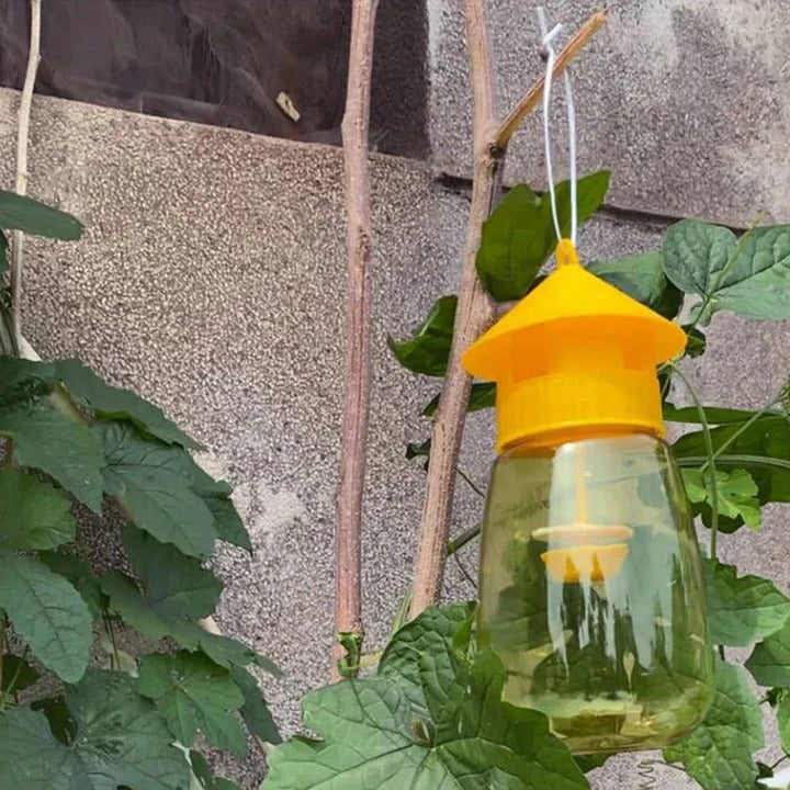 Lisslune | Hanging Fruit Fly Trap