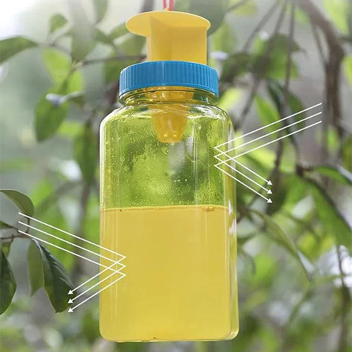 Lisslune | Reusable Fruit Fly Catcher Bottle