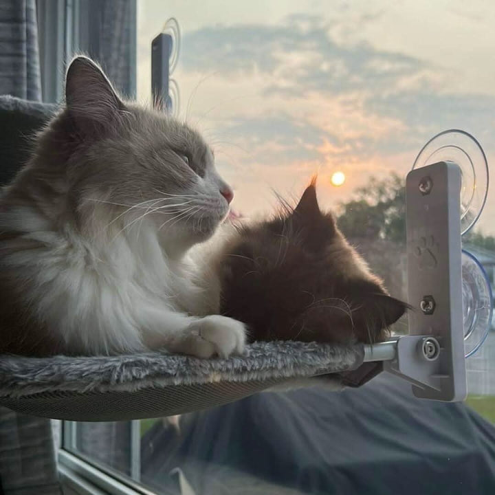 Lisslune | Foldable Window Hammock for Cats with View & Comfort
