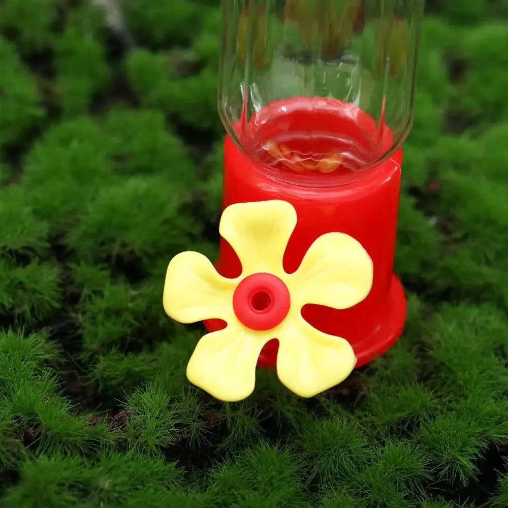 Lisslune | Leak-Proof Plastic Hummingbird Feeder