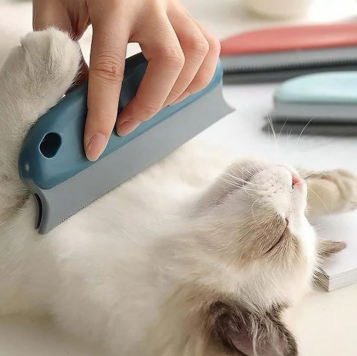Lisslune | Pet Hair Remover for Furniture