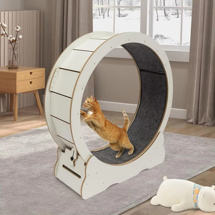 Lisslune | Cat Exercise Wheel