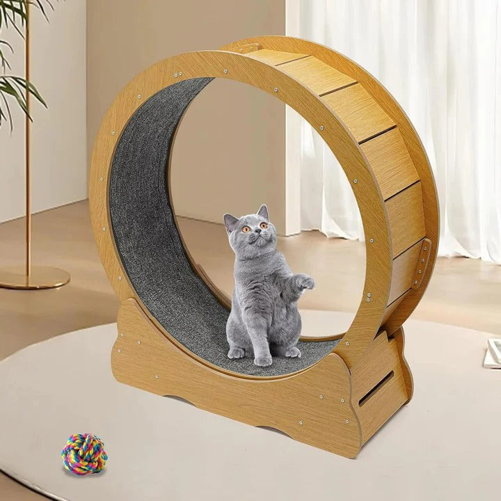 Lisslune | Cat Exercise Wheel