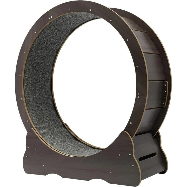 Lisslune | Cat Exercise Wheel