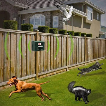 Lisslune | Woodpecker Ultrasonic Repeller for Effective Bird Control - Get Rid of Woodpeckers