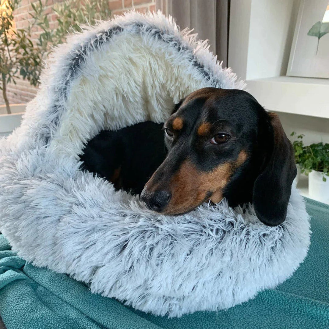 Lisslune | Cozy Cave Pet Bed | Calming & Comfortable Dog Bed for Deep Relaxation