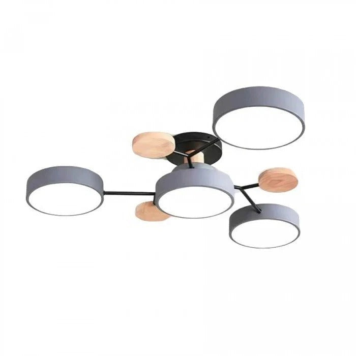 Lisslune | Stylish Ceiling Light with Branching Design and LED Technology