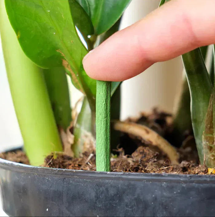 Lisslune | EcoBloom Nutrient Sticks – Long-term Fertilizer for Easy and Sustainable Plant Care