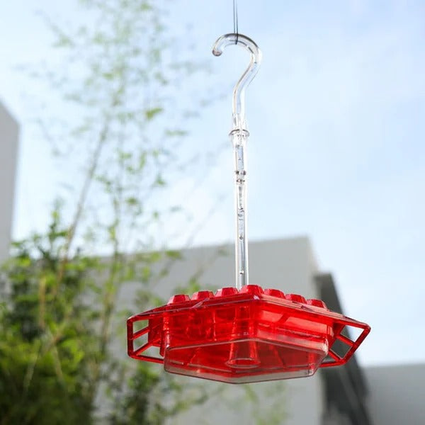 Lisslune | Hummingbird Feeder With Built-In Ant Moat
