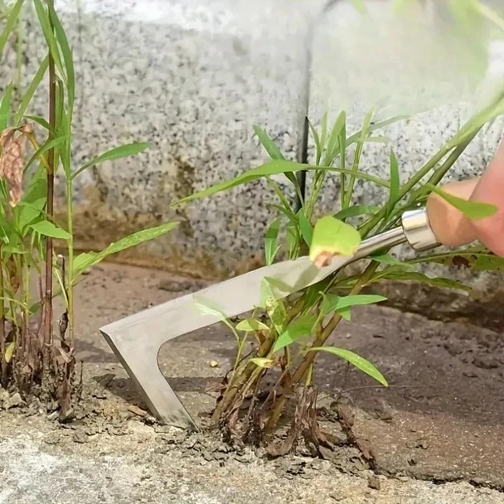 Lisslune | Multifunctional Weed Puller Tool for Brick Joints