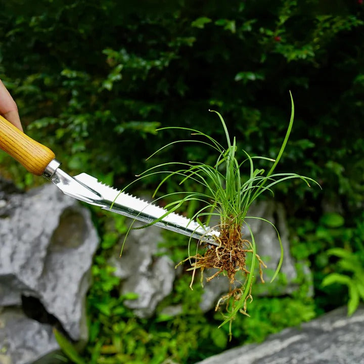 Lisslune | 5-in-1 Stainless Steel Weed Puller Tool