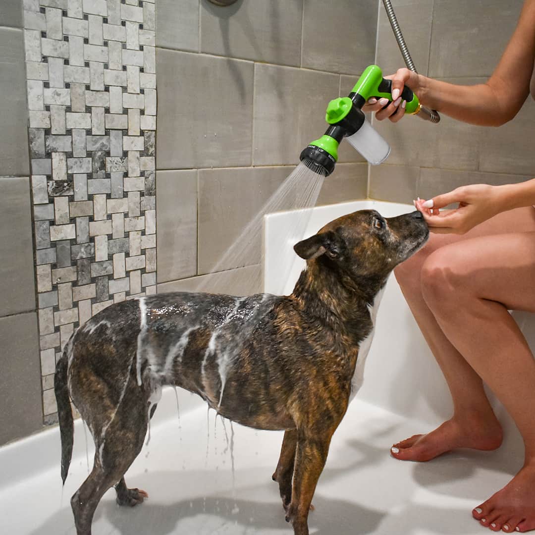 Lisslune | FellFrisch Bath Spray – Stress-Free Bathing for Dogs