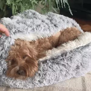 Lisslune | Cozy Cave Pet Bed | Calming & Comfortable Dog Bed for Deep Relaxation