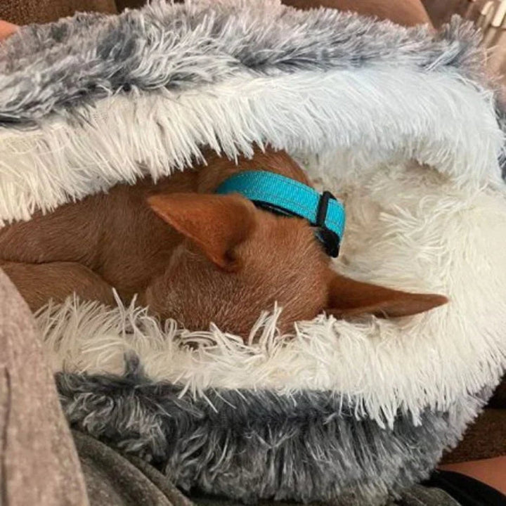 Lisslune | Cozy Cave Pet Bed | Calming & Comfortable Dog Bed for Deep Relaxation