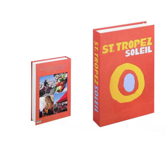 Lisslune | Decoration Books Enhance your living room with these cheerful decor - CozyBooks