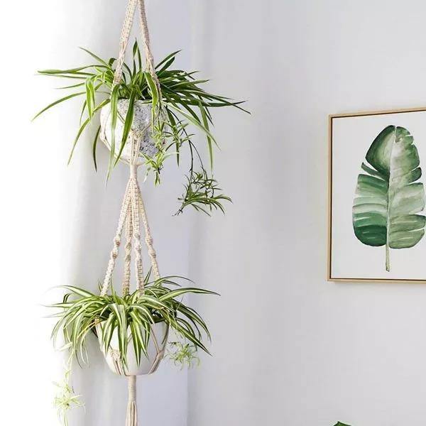 Lisslune | 4-piece handmade Boho macrame plant hanger set