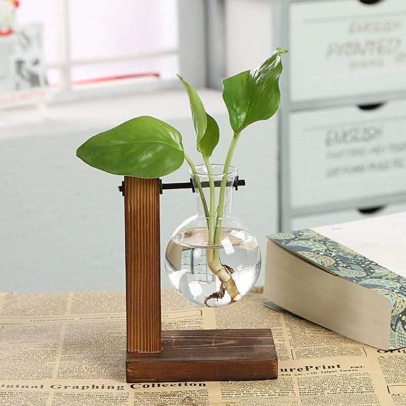 Lisslune | PLANTO – Modern plant holder for stylish decoration