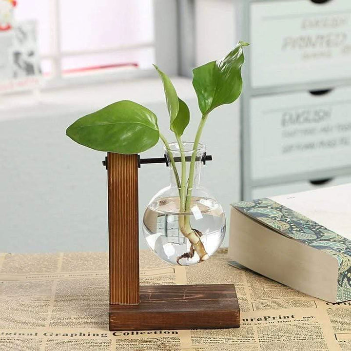 Lisslune | PLANTO – Modern plant holder for stylish decoration