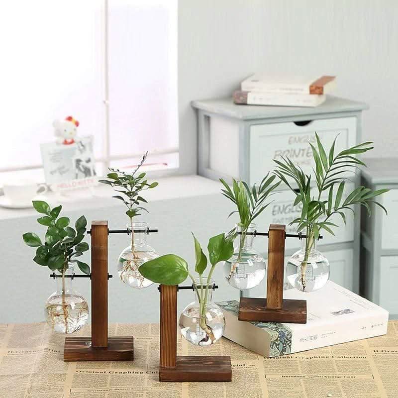 Lisslune | PLANTO – Modern plant holder for stylish decoration