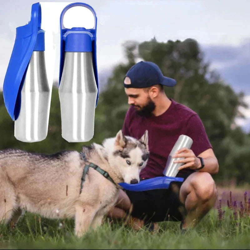 Lisslune | Insulated Dog Water Bottle | Stainless Steel, Leak-Proof & Perfect for Travel and Outdoor Adventures