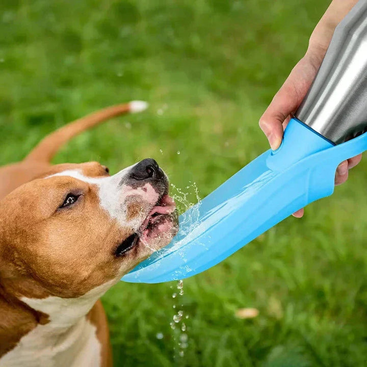 Lisslune | Insulated Dog Water Bottle | Stainless Steel, Leak-Proof & Perfect for Travel and Outdoor Adventures