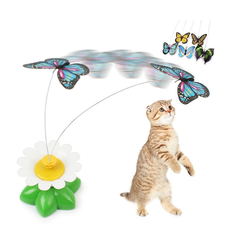 Lisslune | Interactive Cat Toy