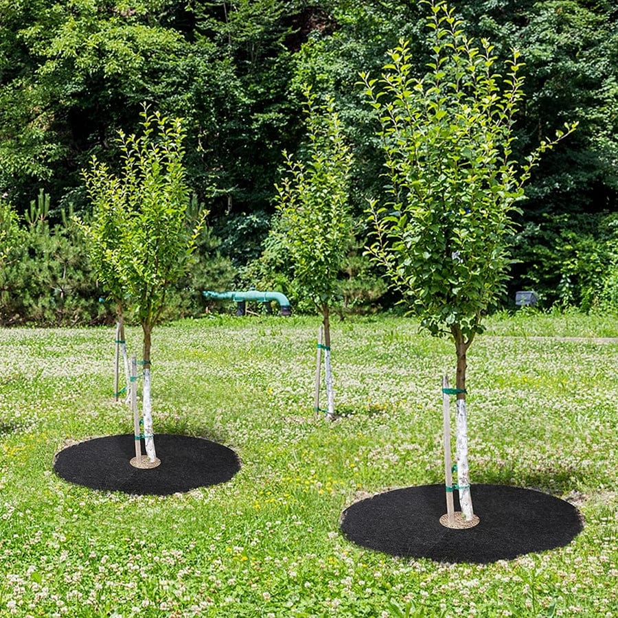 Lisslune | Tree Bark Rings Multifunction (Set of 7 + 3 Free)