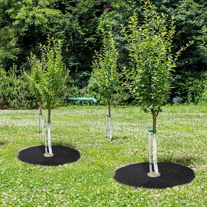Lisslune | Tree Bark Rings Multifunction (Set of 7 + 3 Free)