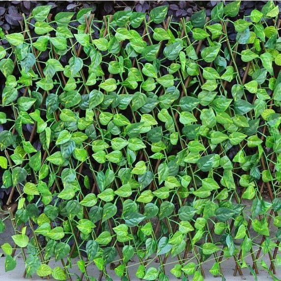 Lisslune | IntimyGreen - Premium Expandable Plant Fence