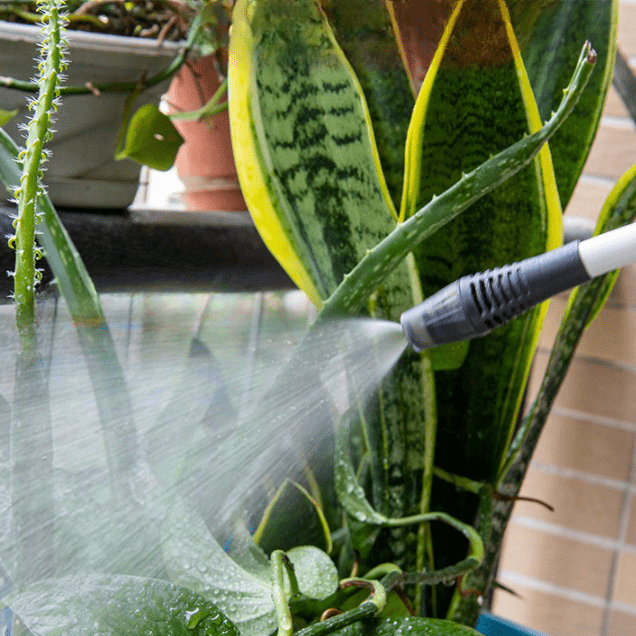 Lisslune | FlexSpray - The electric watering can