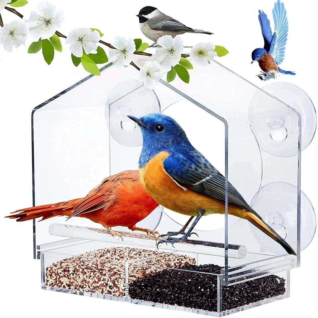 Lisslune | Premium Bird Feeder Station