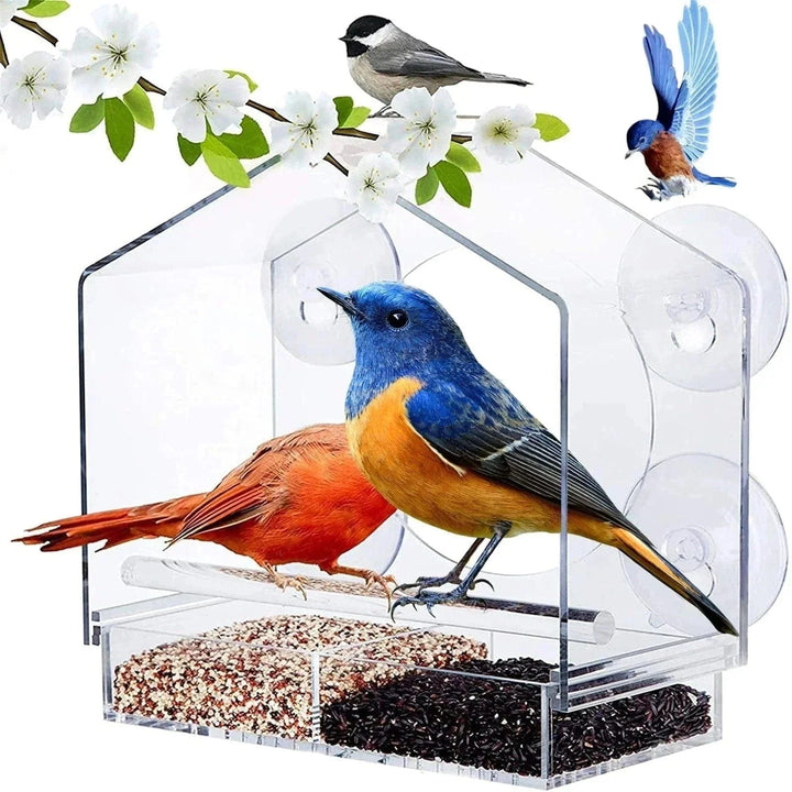 Lisslune | Premium Bird Feeder Station