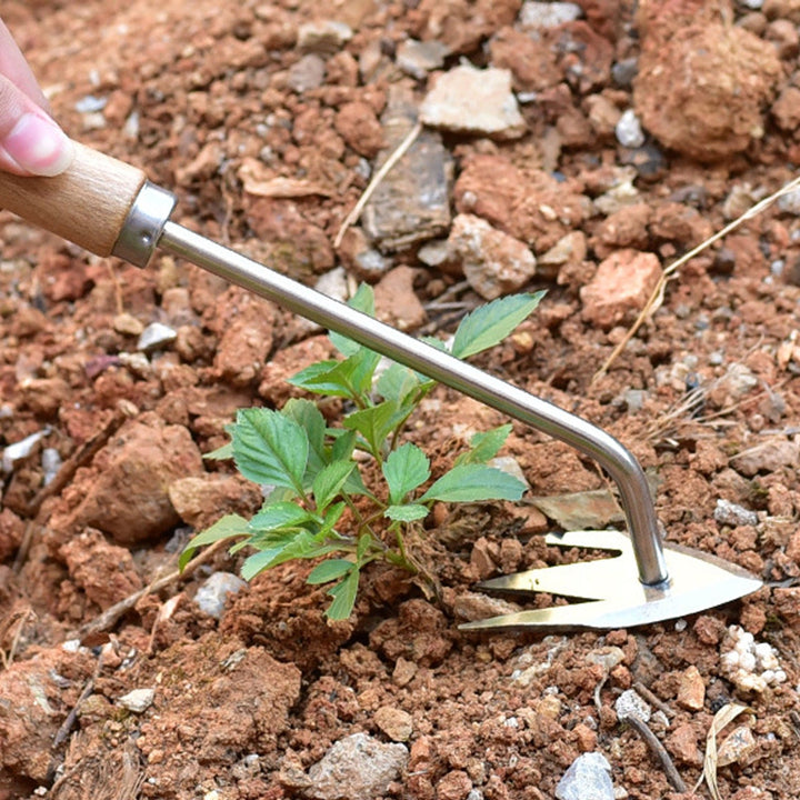 Lisslune | PlantPulser - Professional Weed Control Tool