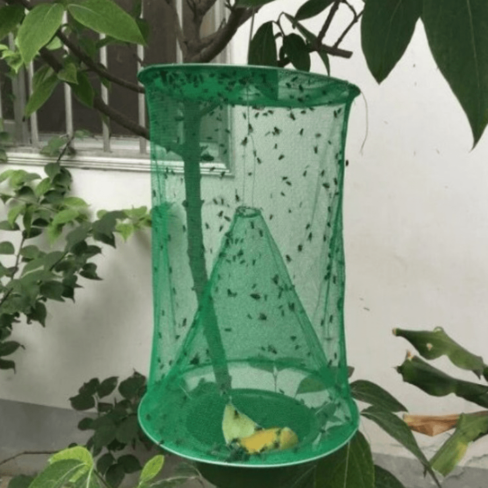 Lisslune | Reusable Fly Trap - Pack of 4