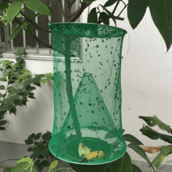 Lisslune | Reusable Fly Trap - Pack of 4