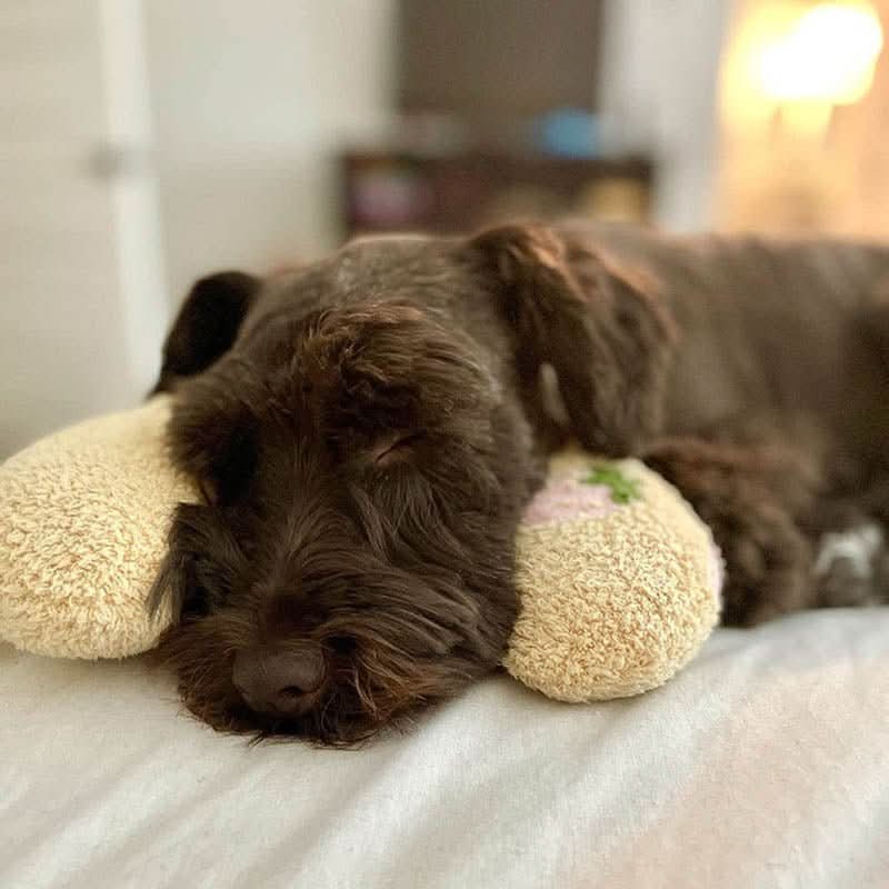 Lisslune | PETEASE LUXURY – Orthopedic Dog Bed against Stress & Joint Pain