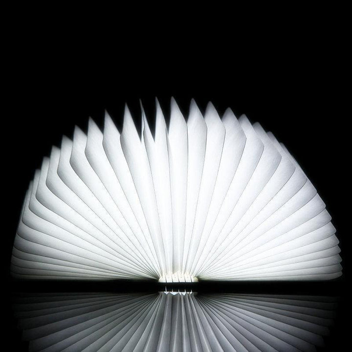Lisslune | LED Book Lamp made of Walnut Wood
