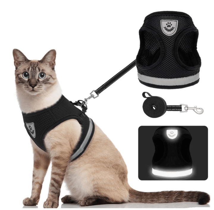 Lisslune | ADVENTURE HARNESS – Escape-proof cat harness with leash & reflective elements