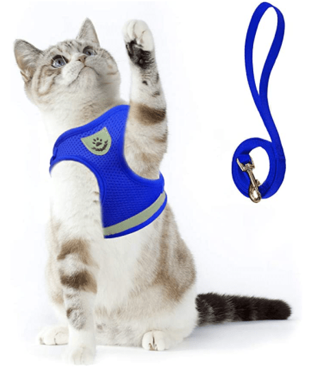Lisslune | ADVENTURE HARNESS – Escape-proof cat harness with leash & reflective elements