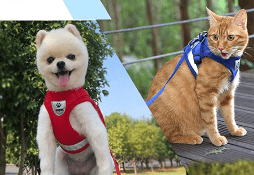 Lisslune | ADVENTURE HARNESS – Escape-proof cat harness with leash & reflective elements