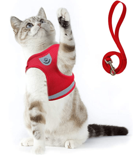 Lisslune | ADVENTURE HARNESS – Escape-proof cat harness with leash & reflective elements