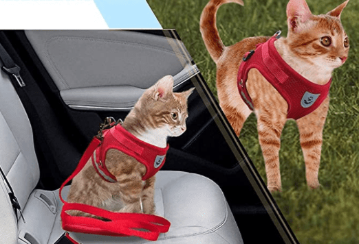 Lisslune | ADVENTURE HARNESS – Escape-proof cat harness with leash & reflective elements